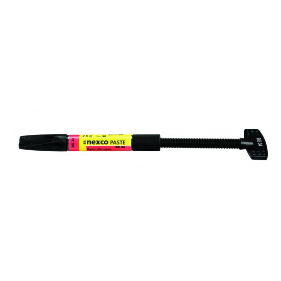 SR Nexco Paste Basic Gingiva 2.5g